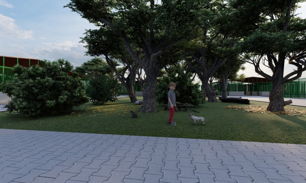 YENİŞEHİR HAYVAN BARINAĞI VE DOĞAL YAŞAM ALANI’NDA GERİ SAYIM BAŞLADI